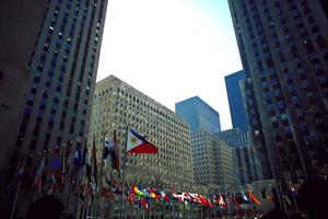 楽観主義にも受け入れられる住まい