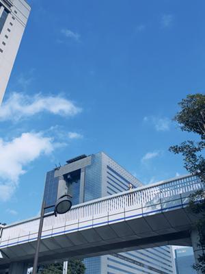 効率的な省エネ計算を行うことができます