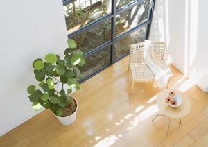 新潟市の不動産に関する情報を探す方法