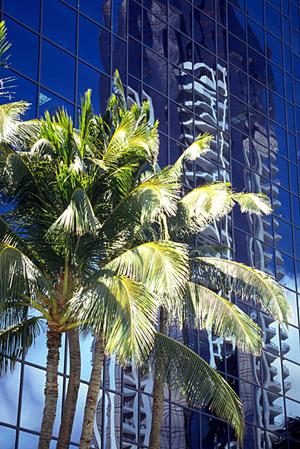 家族で楽しむアドベンチャーパークの魅力とおすすめアクティビティ完全ガイド