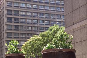 再建築不可の物件は買い取り可能ですか