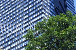 沖縄分譲マンションのおすすめサイト