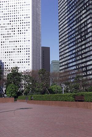 引越し見積り成功ポイントが分かるサイト