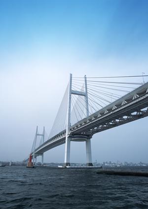 自分たちの理想の住まいが手に入ります